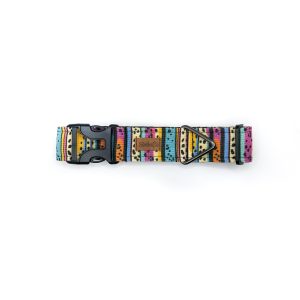Collar "Color Pop"