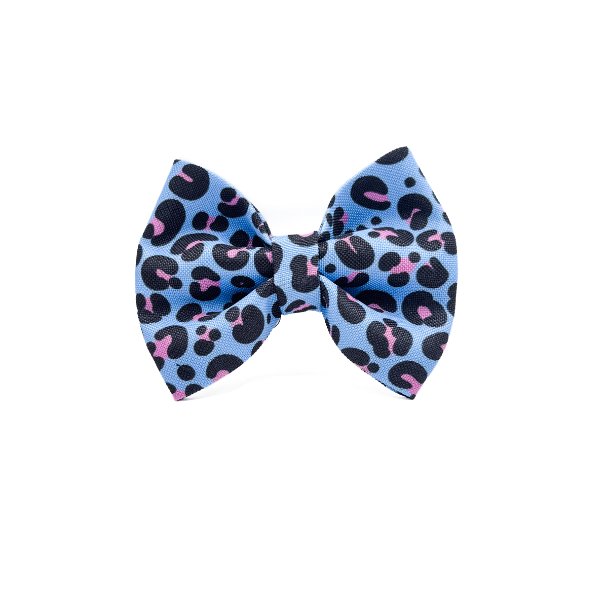 Blue Wild Bow